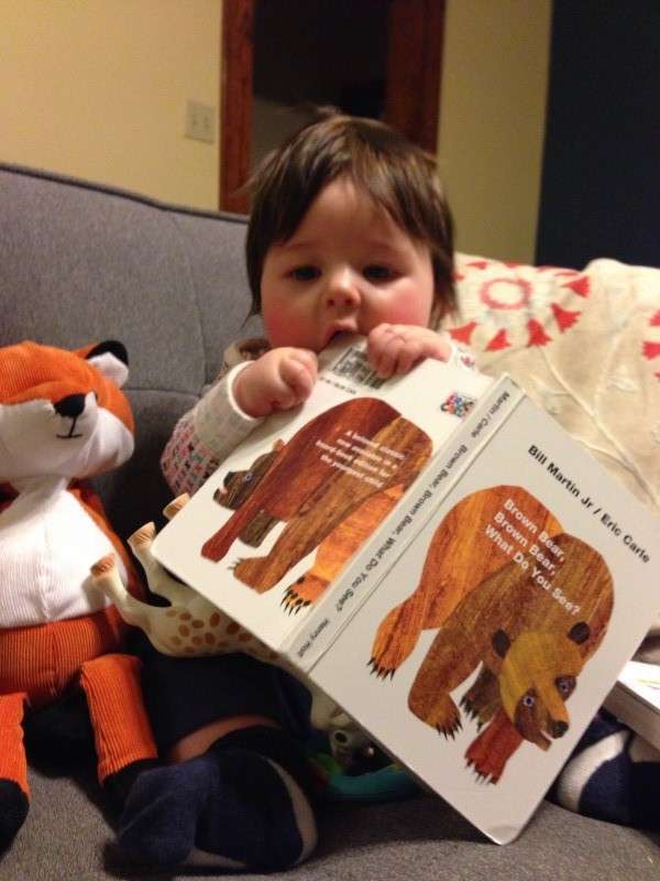 Read more about the article Baby Teaches Fox to Read